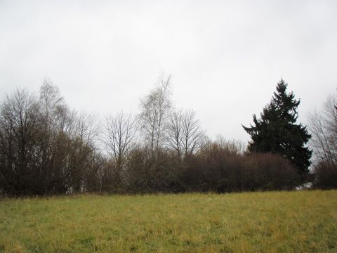 Foto 45